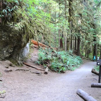 Marymere Falls - Nice flat trail, easy for kids and seniors - Hiking Near Me - Port Angeles, Washington Marymere Falls - Nice flat trail, easy for kids and seniors - Hiking Near Me - Port Angeles, Washington