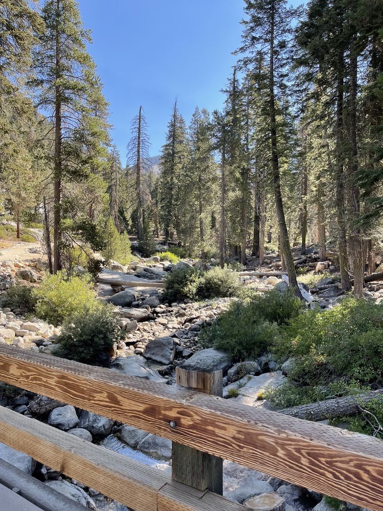 LODGEPOLE CAMPGROUND Updated October 2024 141 Photos & 107 Reviews