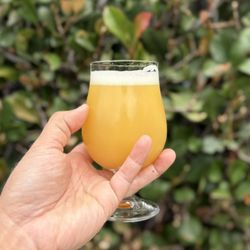 Monkish Brewing - Monkish Brewing Co. Forbidden Energy TIPA Beer (with Nectaron, Superdelic and Krush hops; 10.5% ABV)