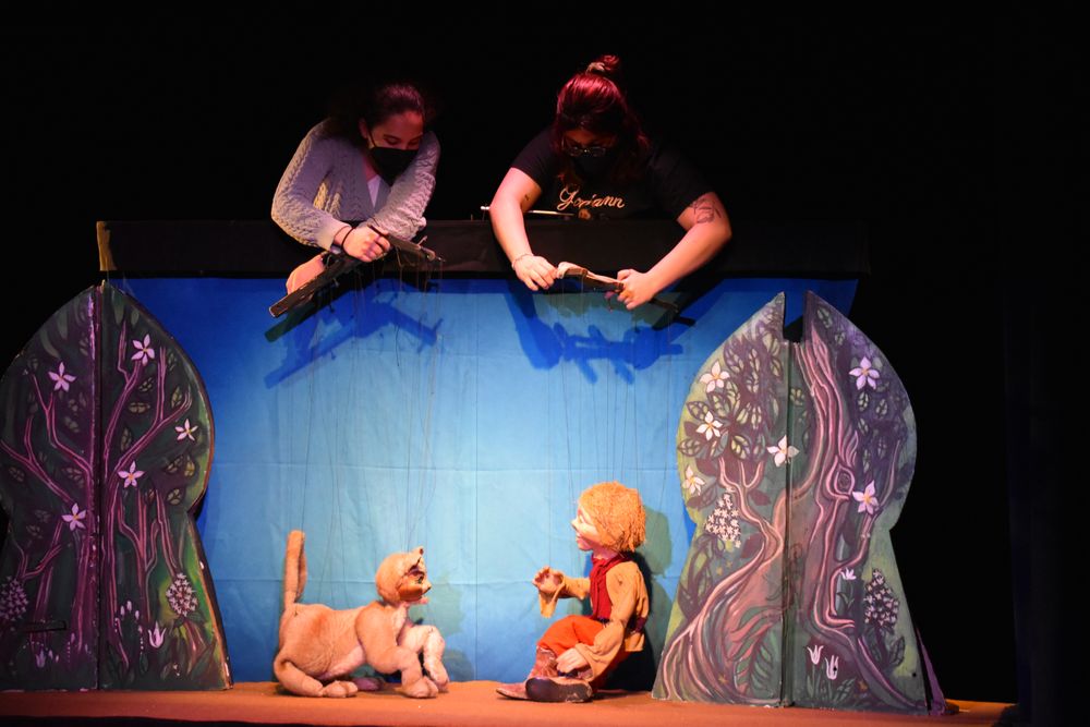 THE PUPPET CO Updated October 2024 21 Reviews 7300 MacArthur Blvd