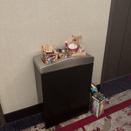 Trash Trash