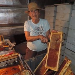 B & B Enterprises - Bev cutting wax from frames for their being placed in the extractor