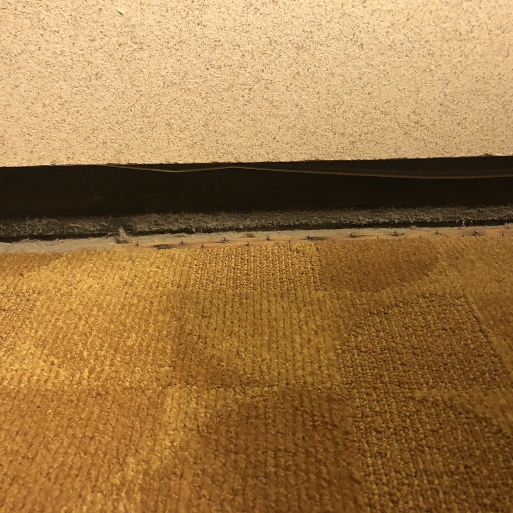 Wyndham Springfield City Centre - Exposed tack strip that I stepped on. - Hotels Near Me - Springfield, Illinois Wyndham Springfield City Centre - Exposed tack strip that I stepped on. - Hotels Near Me - Springfield, Illinois