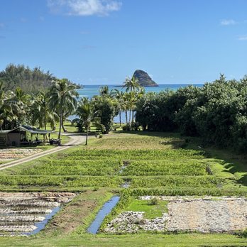 Kualoa Ranch - Tours Near Me - Kaneohe, Hawaii