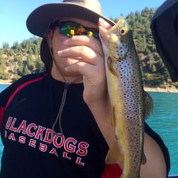 SC Guide Service - Brown Trout in McCloud, CA