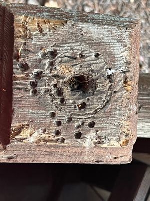 Capitol Management Corporation