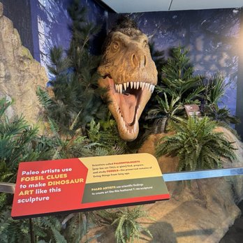 The Children's Museum - Children's Museums Near Me - Indianapolis, Indiana The Children's Museum - Children's Museums Near Me - Indianapolis, Indiana