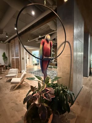 Margaritaville Hotel San Diego Gaslamp Quarter by null