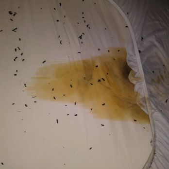 SmartStop Self Storage - THIS IS JUST UNACCEPTABLE!!! MY SONS NEW MEMORY FOAM MATTRESS :( - Self Storage Near Me - La Verne, California