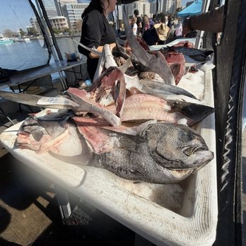 Tuna Harbor Dockside Market - Seafood Markets Near Me - San Diego, California