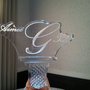 Photo of Clear Memories Inc-Innovations In Ice