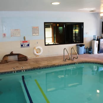 Saguaro Aquatics - Indoor location on Prince - HEATED Pool - Swimming Lessons/Schools Near Me - Tucson, Arizona Saguaro Aquatics - Indoor location on Prince - HEATED Pool - Swimming Lessons/Schools Near Me - Tucson, Arizona