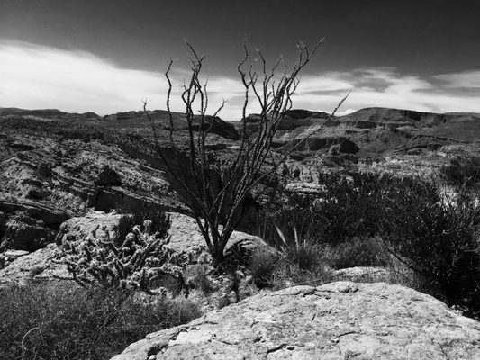 Apache Trail by null