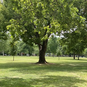 Curtis Park - Parks Near Me - Sacramento, California Curtis Park - Parks Near Me - Sacramento, California