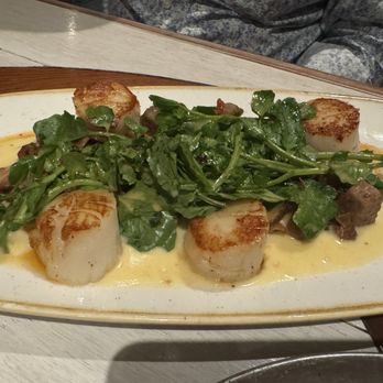 Monkeypod Kitchen - Fresh Catch of the Day (Scallops) - Tacos Near Me - Honolulu, Hawaii Monkeypod Kitchen - Fresh Catch of the Day (Scallops) - Tacos Near Me - Honolulu, Hawaii