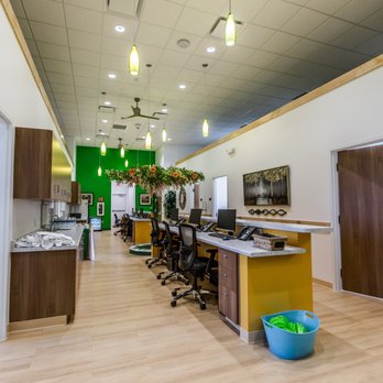 Wellspring Pediatrics & Walk-In Clinic - Walk-in Clinics Near Me - Culpeper, Virginia Wellspring Pediatrics & Walk-In Clinic - Walk-in Clinics Near Me - Culpeper, Virginia