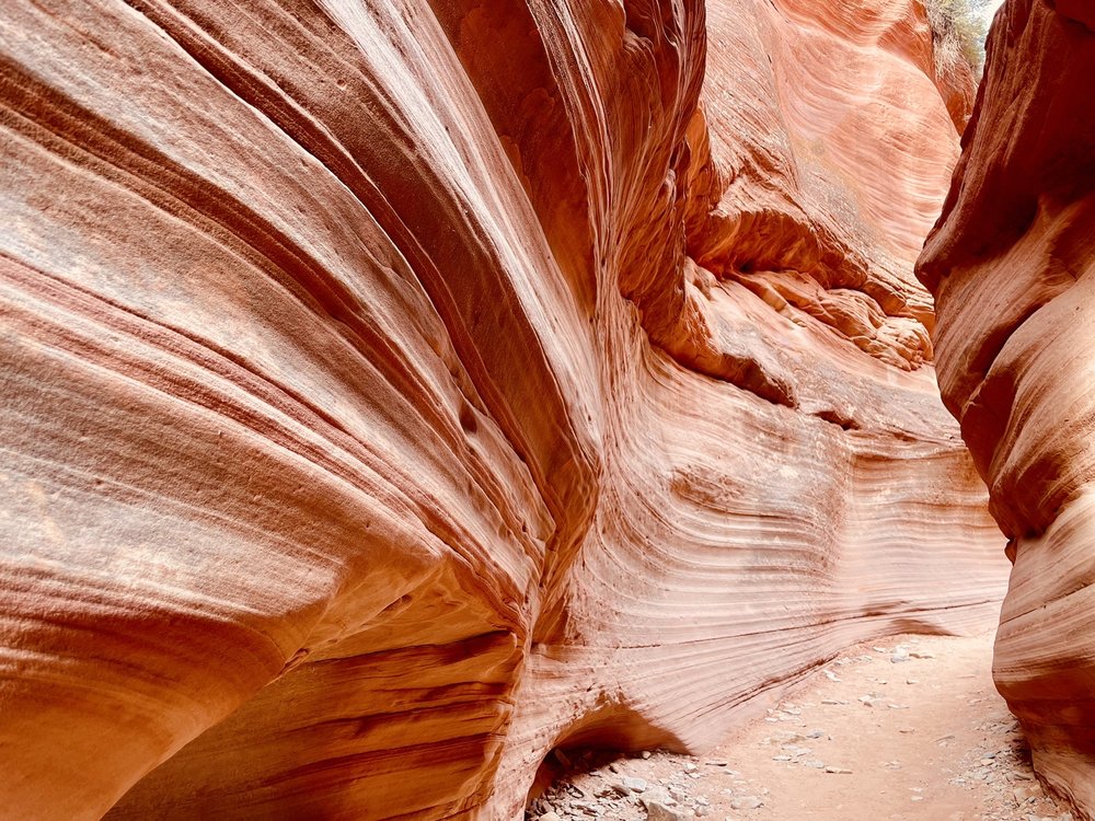 Coral Cliffs Tours of Kanab