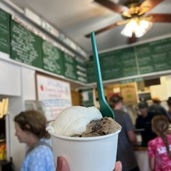 The Juice Bar - Double scoop ($11+) - Coffee Oreo & coconut