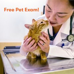 vca met vet west animal hospital