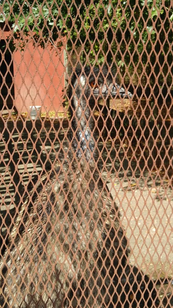 CHAPEL HILLS FARM & NURSERY Updated November 2024 10 Photos & 15