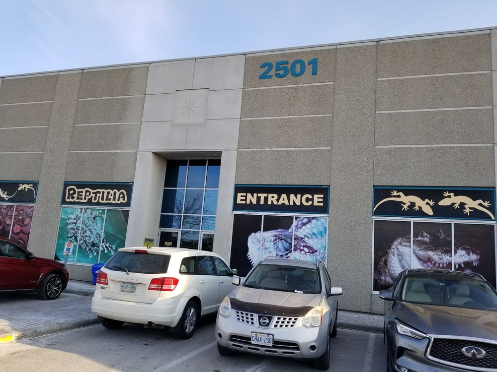 REPTILIA - 243 Photos & 45 Reviews - 2501 Rutherford Road, Concord ...