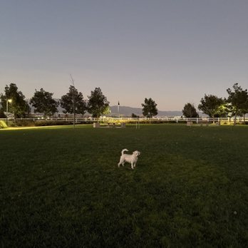 Vila Borba Park - Dog Parks Near Me - Chino Hills, California Vila Borba Park - Dog Parks Near Me - Chino Hills, California