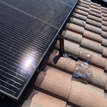 Peak Services - Critter guard aka bird abatement - Artificial Turf Near Me - Las Vegas, Nevada Peak Services - Critter guard aka bird abatement - Artificial Turf Near Me - Las Vegas, Nevada