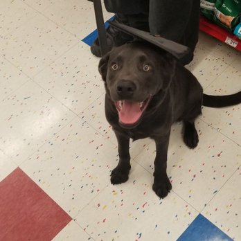 Petco - Pet Training Near Me - Greece, New York