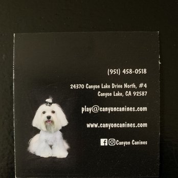 Canyon Canines - Their business and social media information - Pet Groomers Near Me - Canyon Lake, California Canyon Canines - Their business and social media information - Pet Groomers Near Me - Canyon Lake, California
