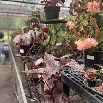 Alpine Nursery & Landscape - Nurseries & Gardening Near Me - Puyallup, Washington