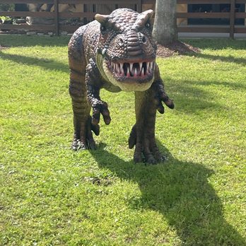 Dinosaur World - Museums Near Me - Plant City, Florida Dinosaur World - Museums Near Me - Plant City, Florida