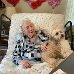 A Better Solution Home Care & Nursing