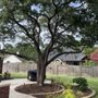 Photo of Kingwood Fertilizing