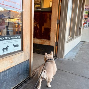 The Cheeseboard Collective - Sophie wanted in so badly - A French Bulldog on a leash stands outside a store entrance, looking through the glass door. The store has signs on the window and a wooden door. - Bakeries Near Me - Berkeley, California