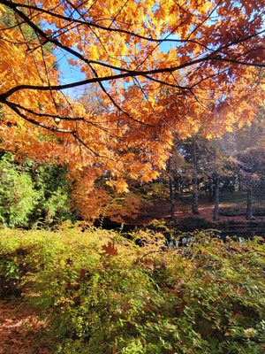 Laurelhurst Park by null