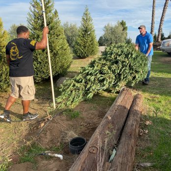 Highland Valley Christmas Tree Farm - Christmas Trees Near Me - Ramona, California