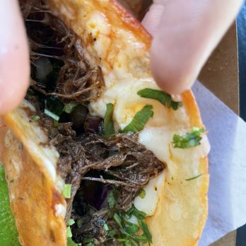 Papi Tacos & Churros - Reg Quesadilla - Tacos Near Me - Santa Ana, California Papi Tacos & Churros - Reg Quesadilla - Tacos Near Me - Santa Ana, California