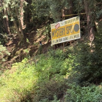 Mystery Spot - Amusement Parks Near Me - Santa Cruz, California Mystery Spot - Amusement Parks Near Me - Santa Cruz, California