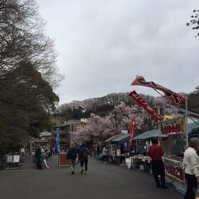 Nihon Minka-en (Japan Open-Air Folk Museum) by null