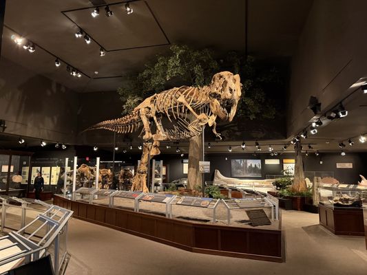 Museum of the Rockies by null