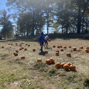 Helena Hollow - Pumpkin patch. - Pumpkin Patches Near Me - Helena, Alabama Helena Hollow - Pumpkin patch. - Pumpkin Patches Near Me - Helena, Alabama