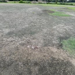 Greens in May 2024.