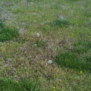 All Terrain Landscaping - Landscaping Near Me All Terrain Landscaping - Landscaping Near Me