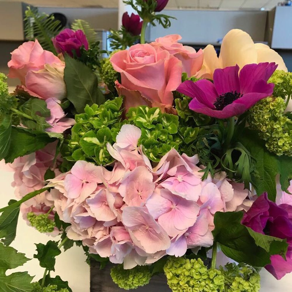 Urban Gardener - Florists Near Me - Newport Beach, California Urban Gardener - Florists Near Me - Newport Beach, California