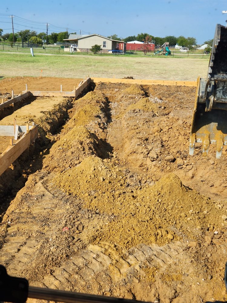 Slide of Lizard Excavation