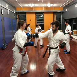 Evolutionary Martial Arts