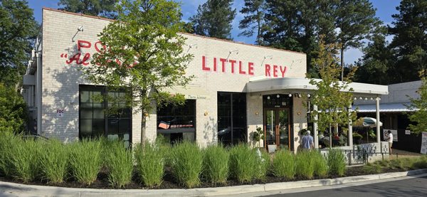 Little Rey by null