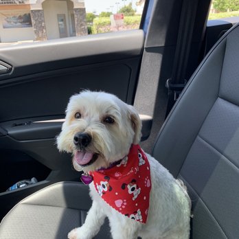 Pet Spaw - Pet Groomers Near Me - Glendora, California Pet Spaw - Pet Groomers Near Me - Glendora, California