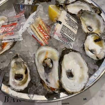 Big Fin Seafood - Seafood Near Me - Orlando, Florida Big Fin Seafood - Seafood Near Me - Orlando, Florida
