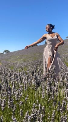 Monte-Bellaria di California by null